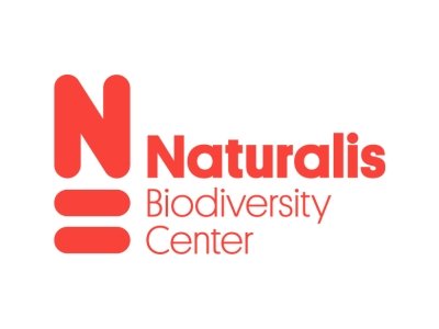 xr:d:DAFoZ7n2Jj8:7,j:2502145860707249123,t:23071207